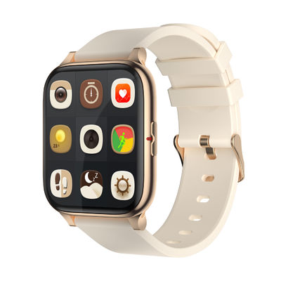 1.69インチ180mAhの心拍数のモニターのSmartwatch IP67 COLMI P8の組合せ